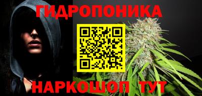 гашик Новодвинск
