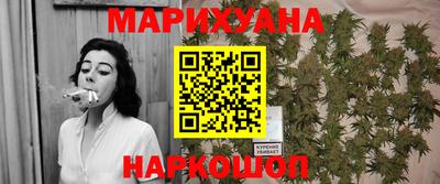 гашик Новодвинск
