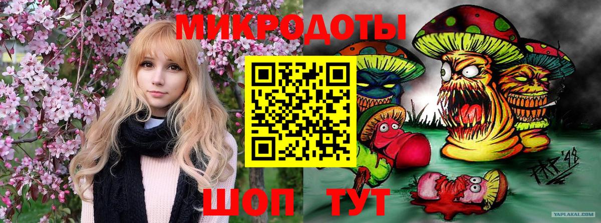 Галлюциногенные грибы прущие грибы  Вход с VPN  Тулун  Псилоцибиновые грибы мухоморы 