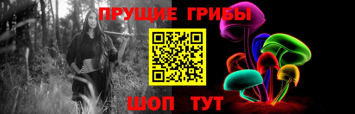 Псилоцибиновые грибы GOLDEN TEACHER Тулун